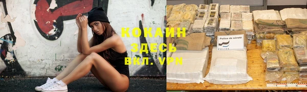 соль курить ск Горно-Алтайск