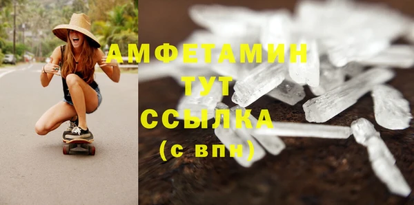 мдпв Вязьма