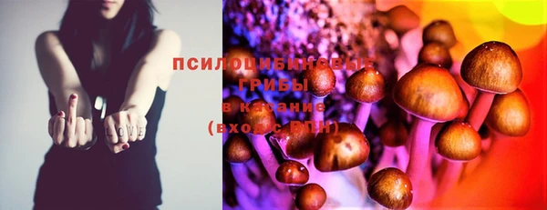 мдпв Вязьма