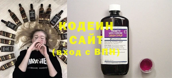 мдпв Вязьма